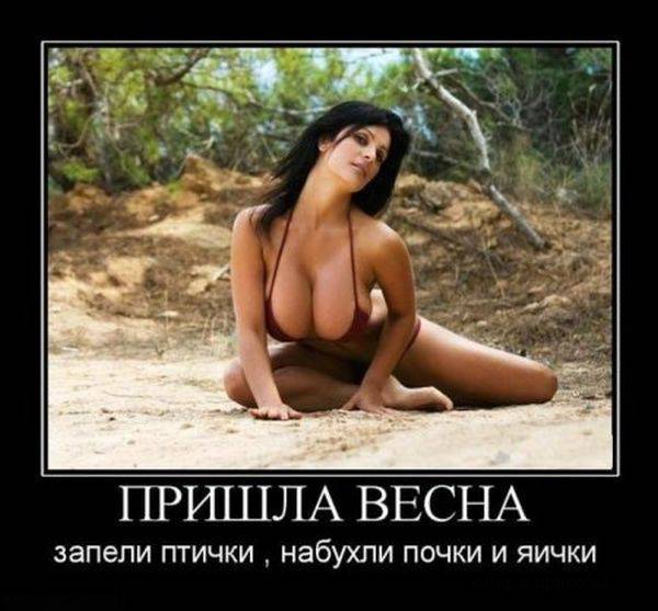 Демотиваторы про весну