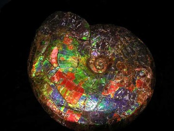 Необычные драгоценные камни выставлены на аукцион