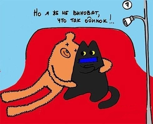 Одинокий котэ ищет любовь