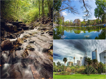 Милуємось осінніми краєвидами: 3 найкращі міські парки 