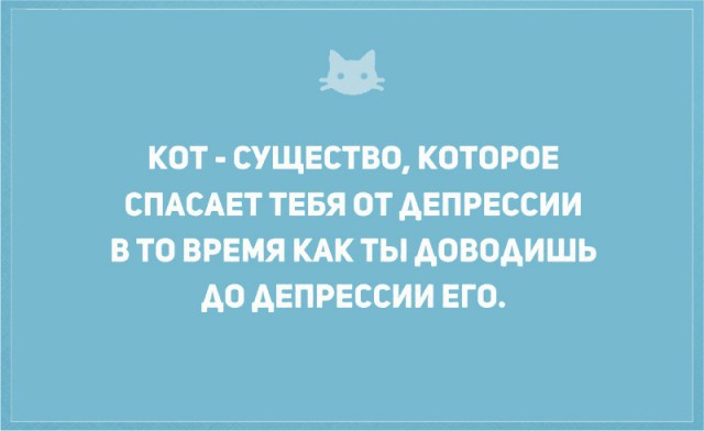 Без кота и жизнь не та