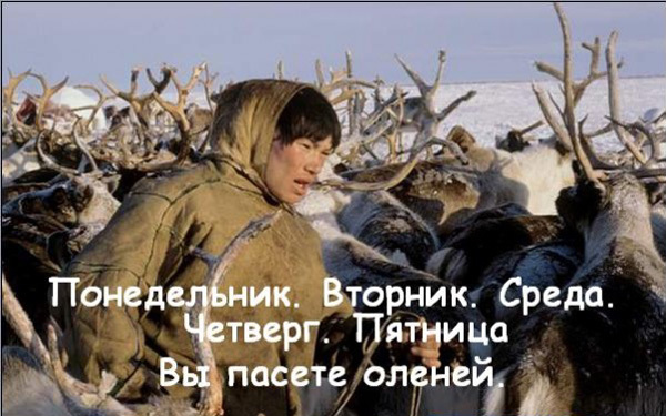 Работа после выходных..