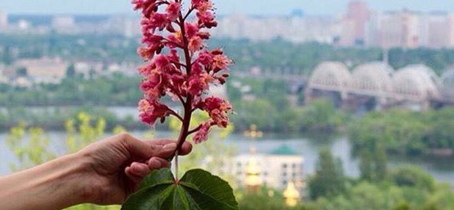 Евровидение 2017: появился официальный проморолик о Киеве