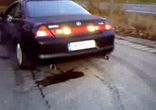Honda Acura    