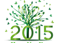 Новый год 2015