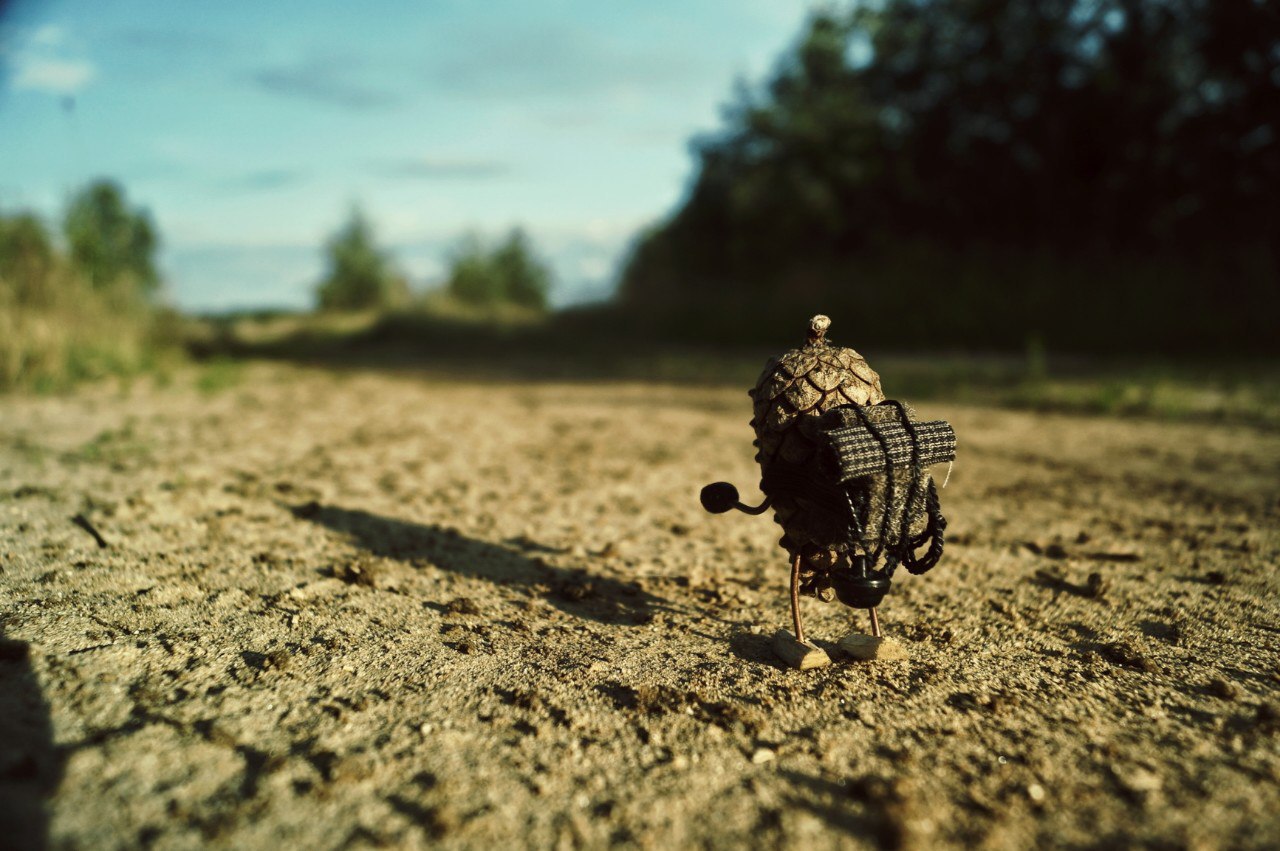 #ПутешествиеСосновойШишки часть 8