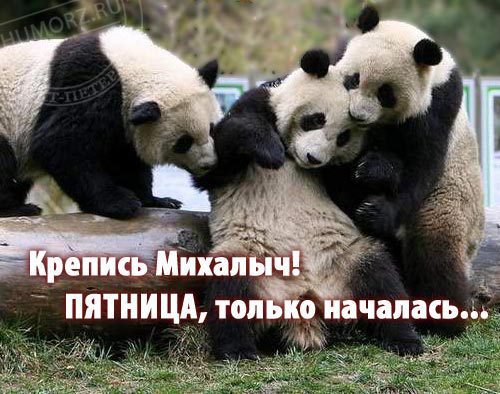 Ну... За Пятницу