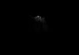 Autechre - fol4
