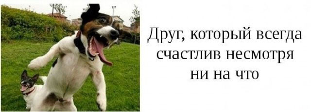 Категории друзей