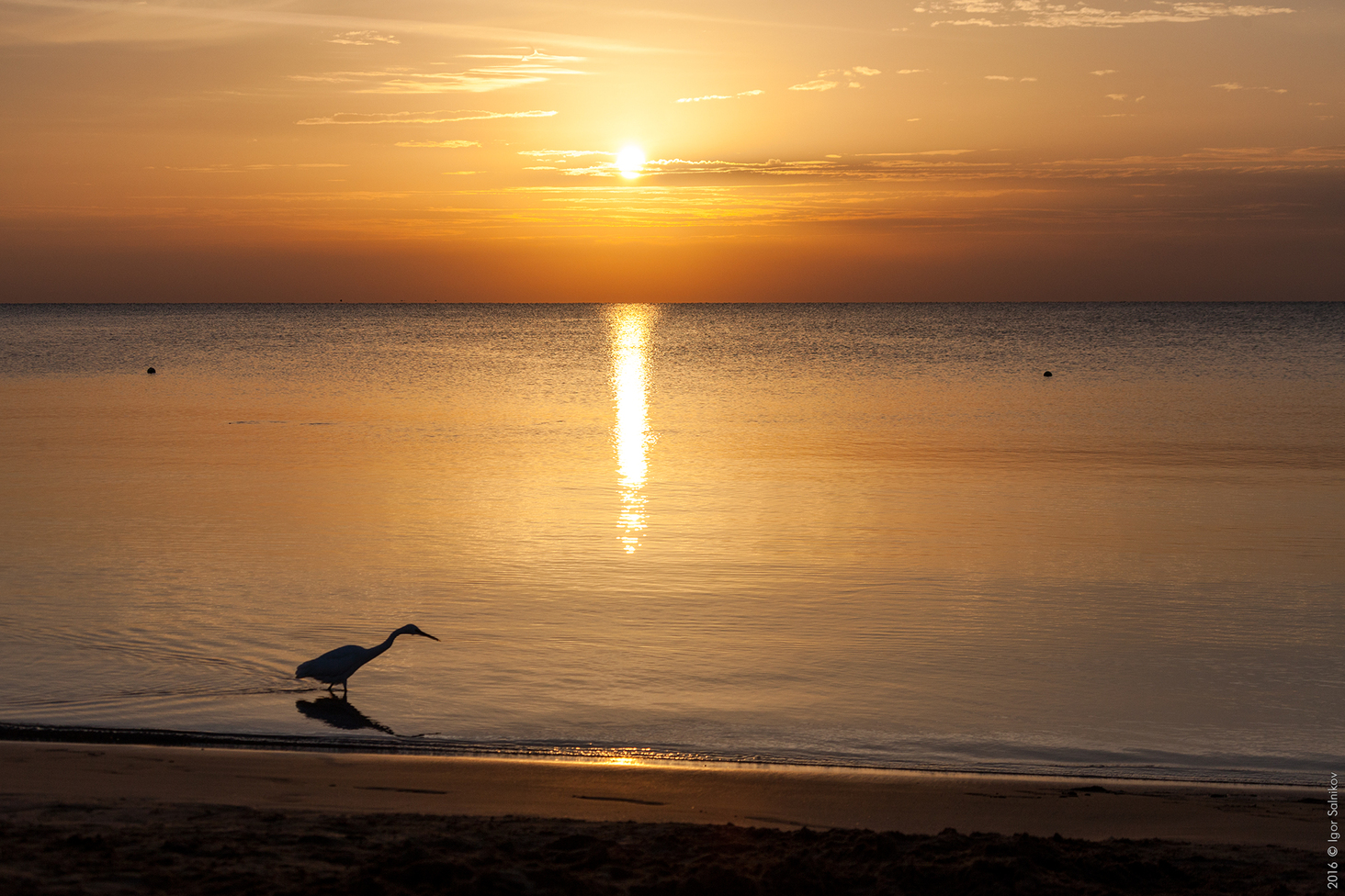 Египет, заповедник Махмея