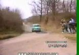 смішна гонка