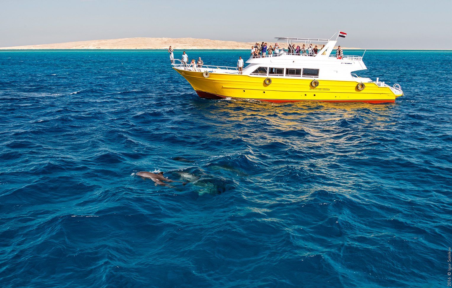 Египет, заповедник Махмея