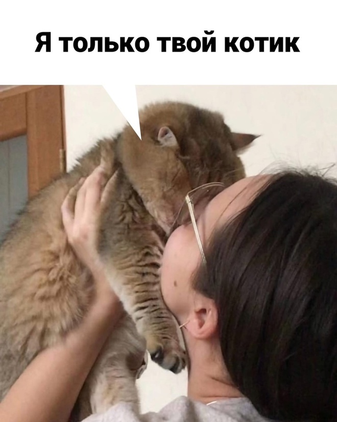 Самый хороший котик