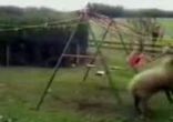 Одно слова - аффца 