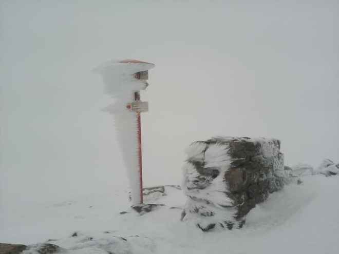 сніг у Карпатах