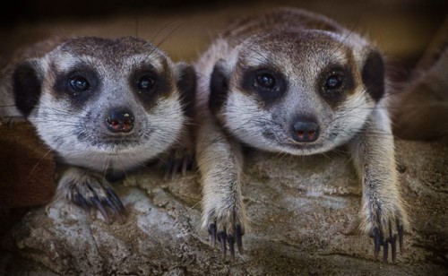 Отдыхаем хорошо!