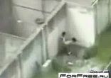 public_sex_kvartal