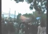 фаны