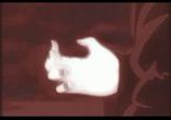 Sasori AMV - Evolution by Emila145    м