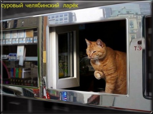 Новые работники ларьков