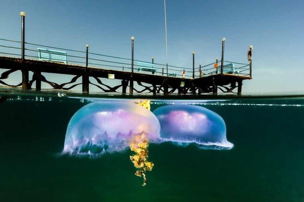 На грани двух миров