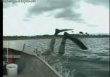 Водолазы
