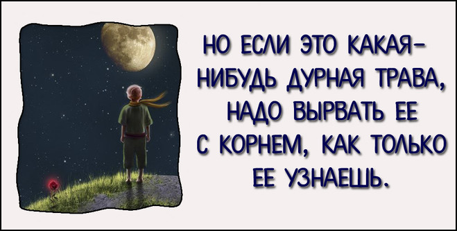 Маленький принц - 10 лучших цитат 