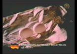 Секция по самозащите
