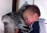 Кот и малыш Двое с характером!!