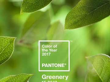 Главный цвет 2017 года по версии Pantone