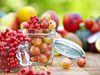 Агрус: заготовки на зиму з ягід