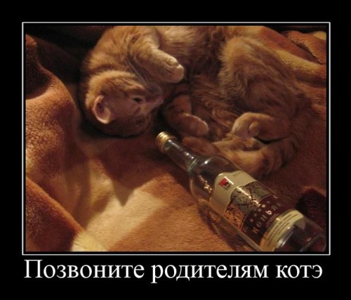 Демотиваторы про пятницу