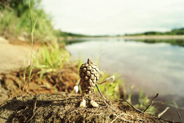 #ПутешествиеСосновойШишки часть 2