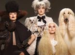 MAC Haute dogs - коллекция косметики MAC Haute dogs - коллекция косметики