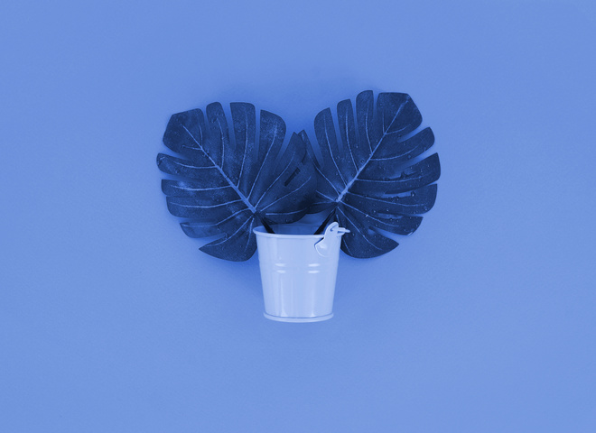 Прикмети 25 серпня 2020