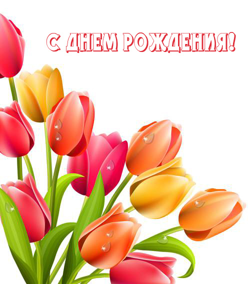 Тюльпаны на день рождения
