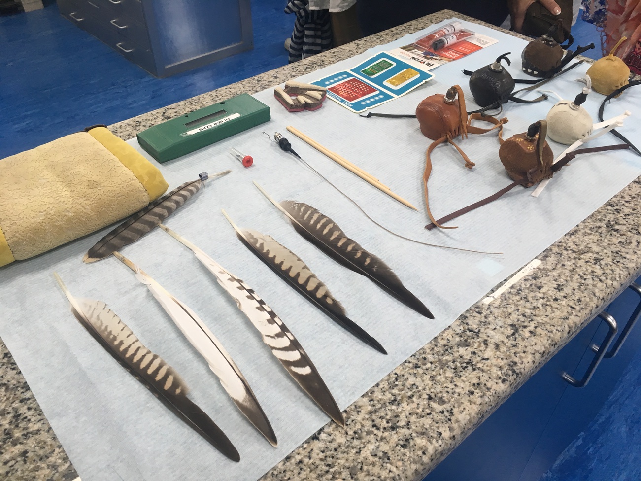 Соколиный госпиталь в Абу Даби