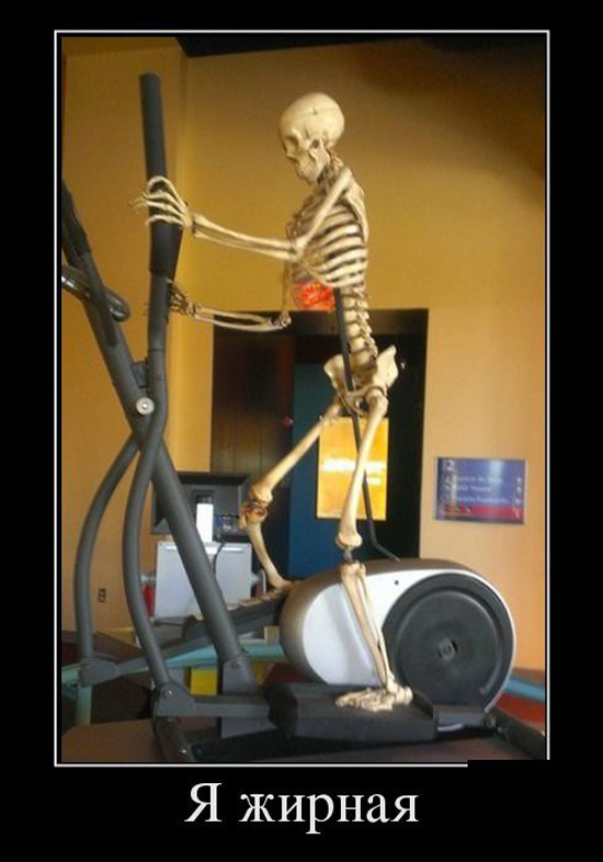 ТОП лучших демотиваторов