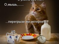 Вырубили инет?! Ищите кота!