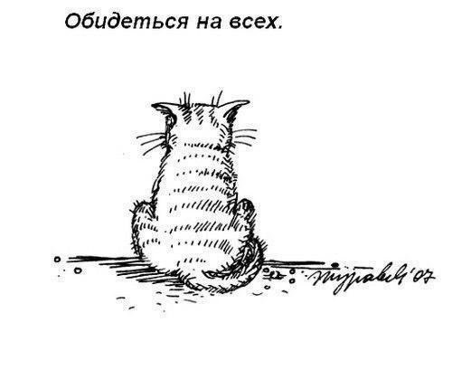 Что обожают делать коты