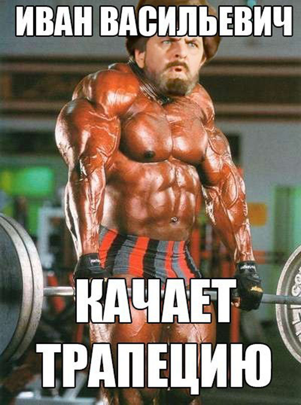 Шутки про качков картинки, ночи сладких
