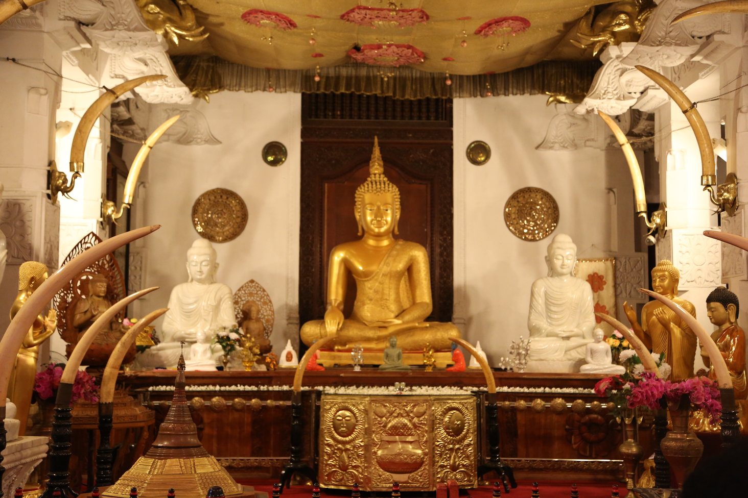 Дмитрий Каднай о Шри-Ланке: все, что вы не прочитаете в путеводителе об острове