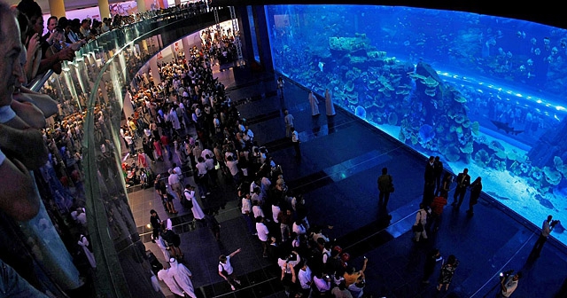 Океанариумы мира: Dubai Aquarium & Discovery Centre