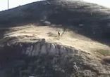 кранты  
