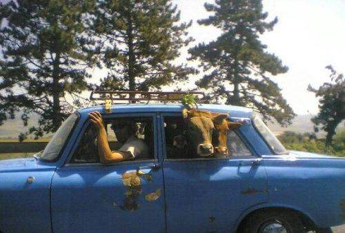 Фотоприколы