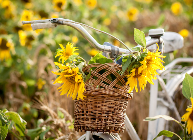 Какой праздник отмечают 26 мая