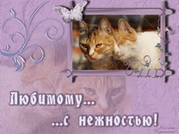 Любимому с нежностью