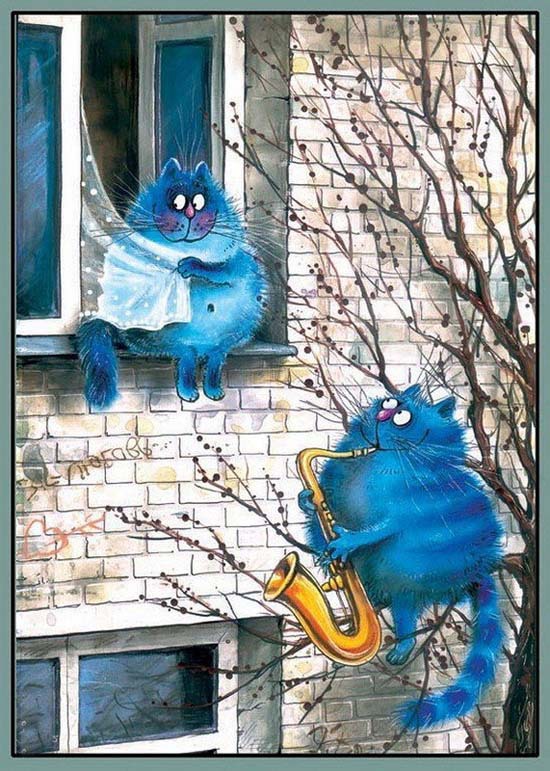 Няшная подборка "Жизнь голубых котов"