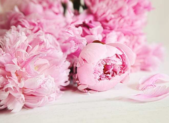 Прикмети 7 серпня 2020