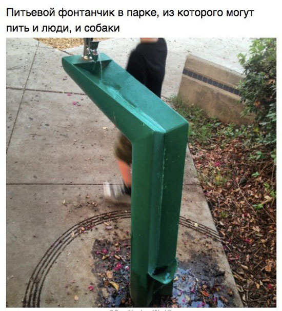 До чего дошел прогресс